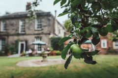 Bank Close House care home Chesterfield - Gardens