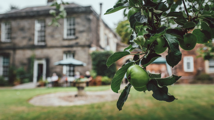 Additional Services at Bank Close House care home Chesterfield